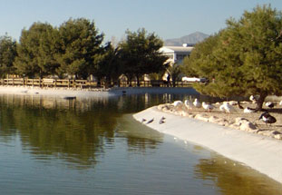 educacion ambiental ayuntamiento de san vicente del raspeig