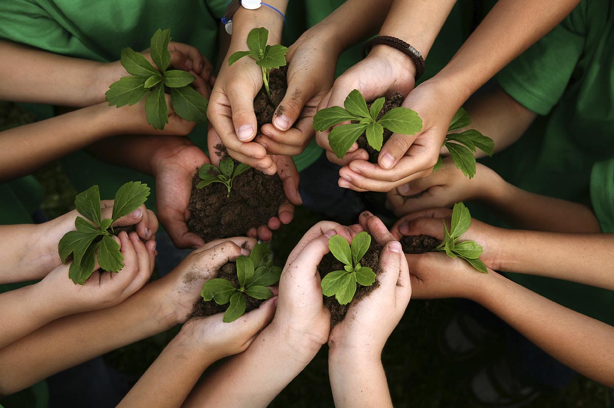 Educación ambiental