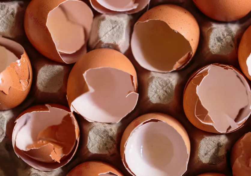 Huevos rotos