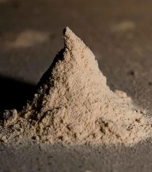 Polvo