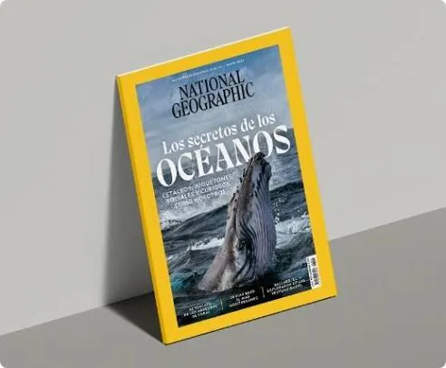 Revistas